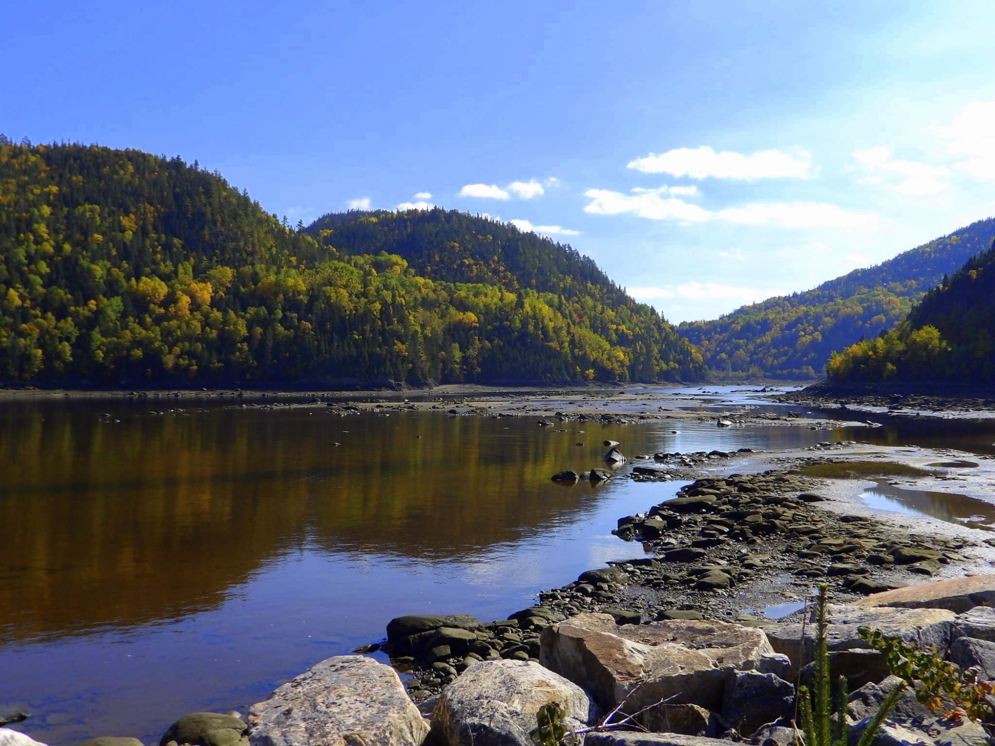 Saguenay River - 2022 Alles Wat U Moet Weten VOORDAT Je Gaat - Tripadvisor