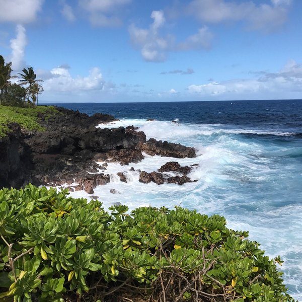 Pahoa, HI 2024: Best Places to Visit - Tripadvisor