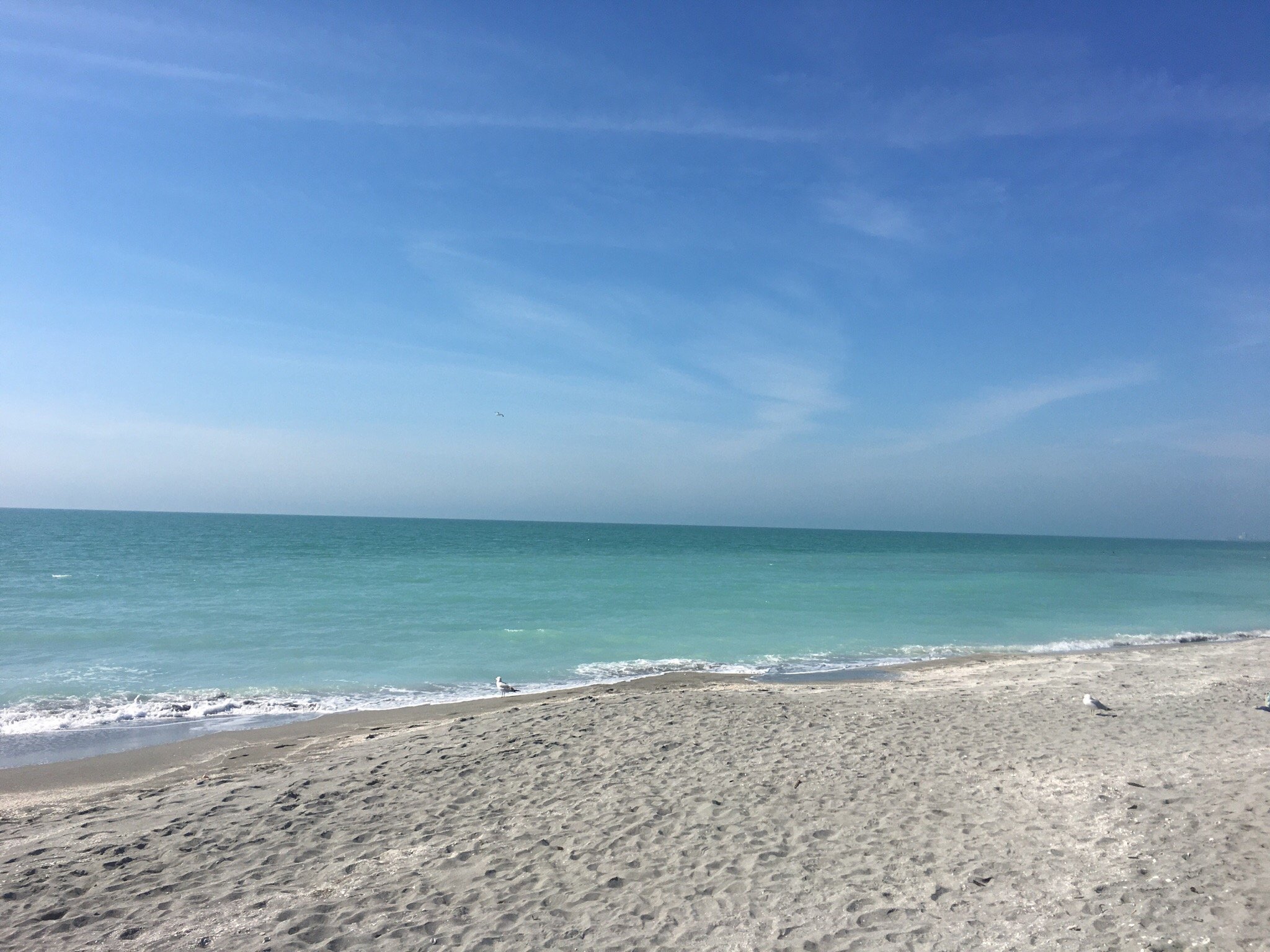 Discovering Shell Beach Siesta Key: Your Ultimate Travel Guide