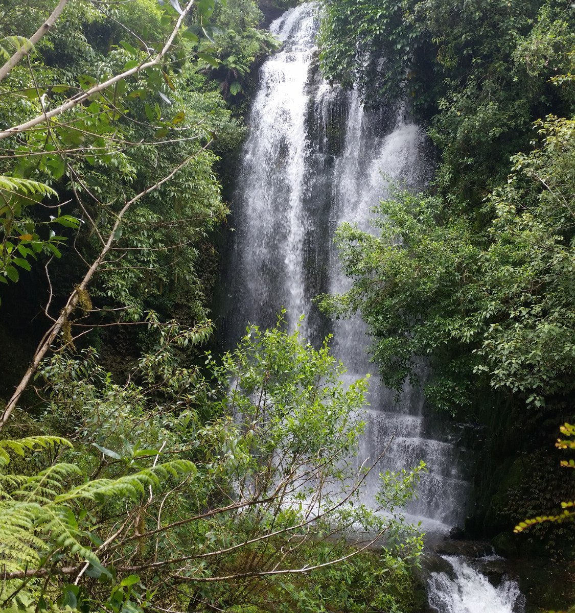 Waitanguru Falls - All You Need to Know BEFORE You Go (2024)