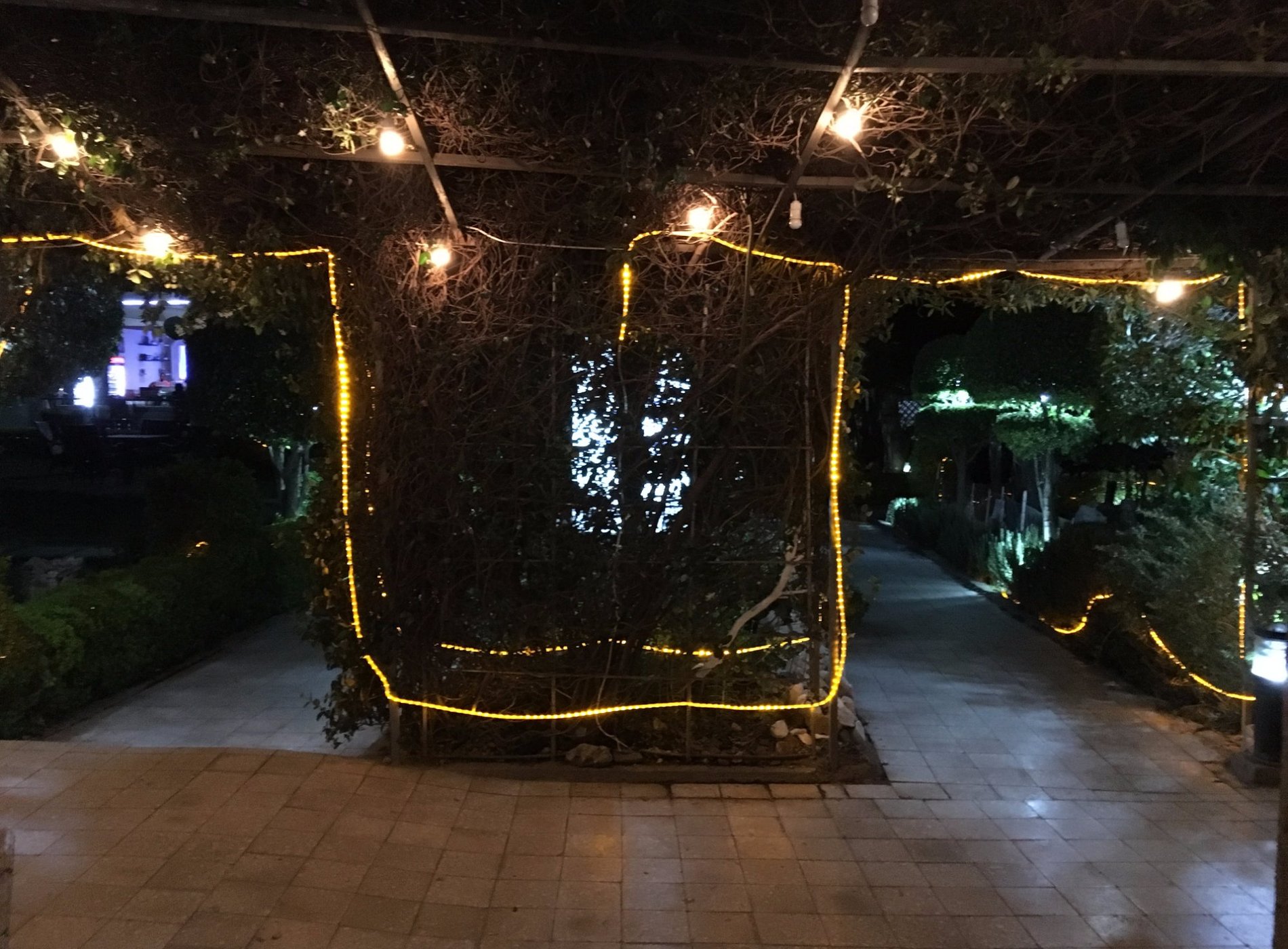 Rosemary Hotel image