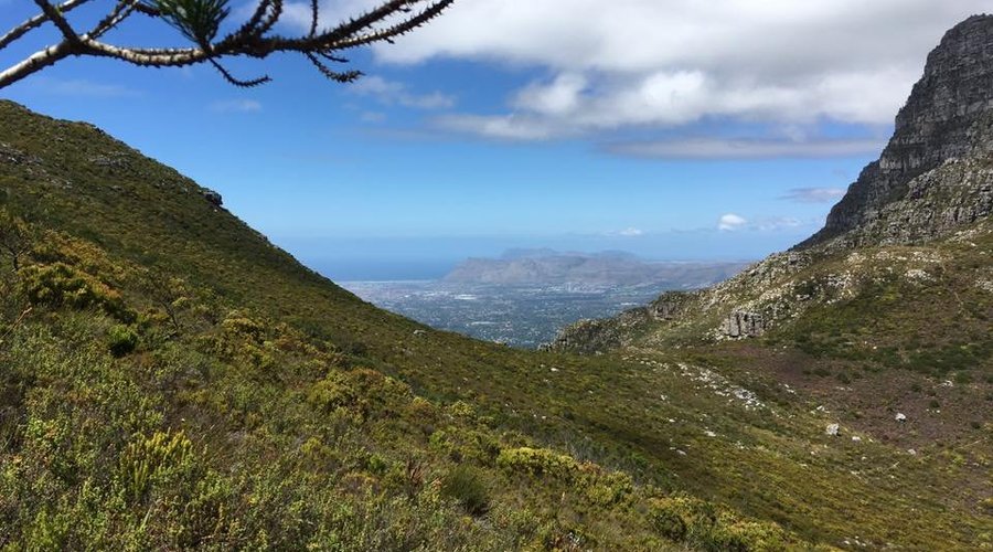 Devil's Peak view