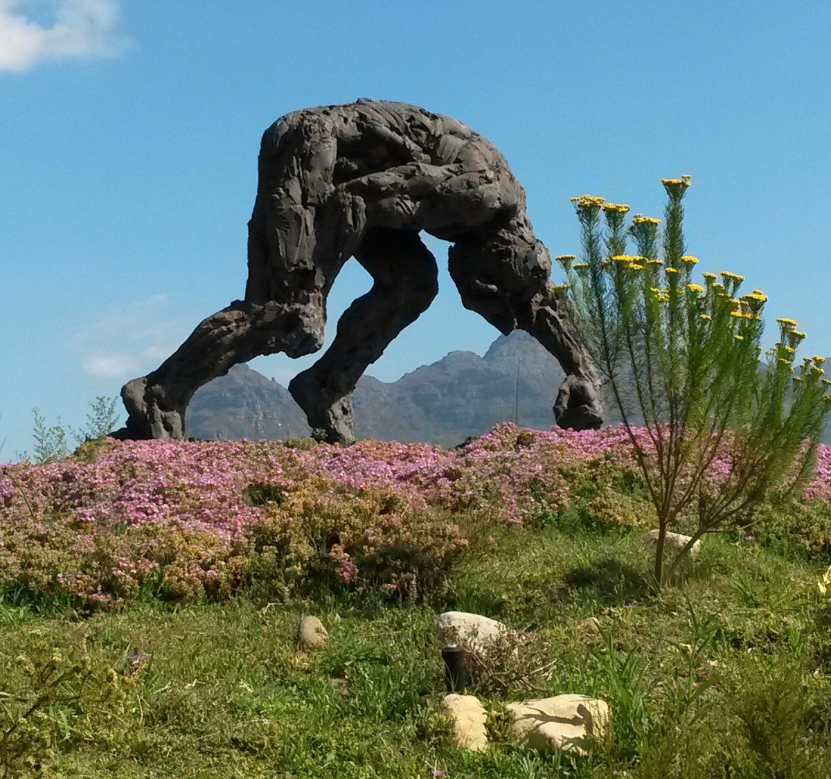 Dylan Lewis Sculpture Garden (Stellenbosch) All You Need to Know