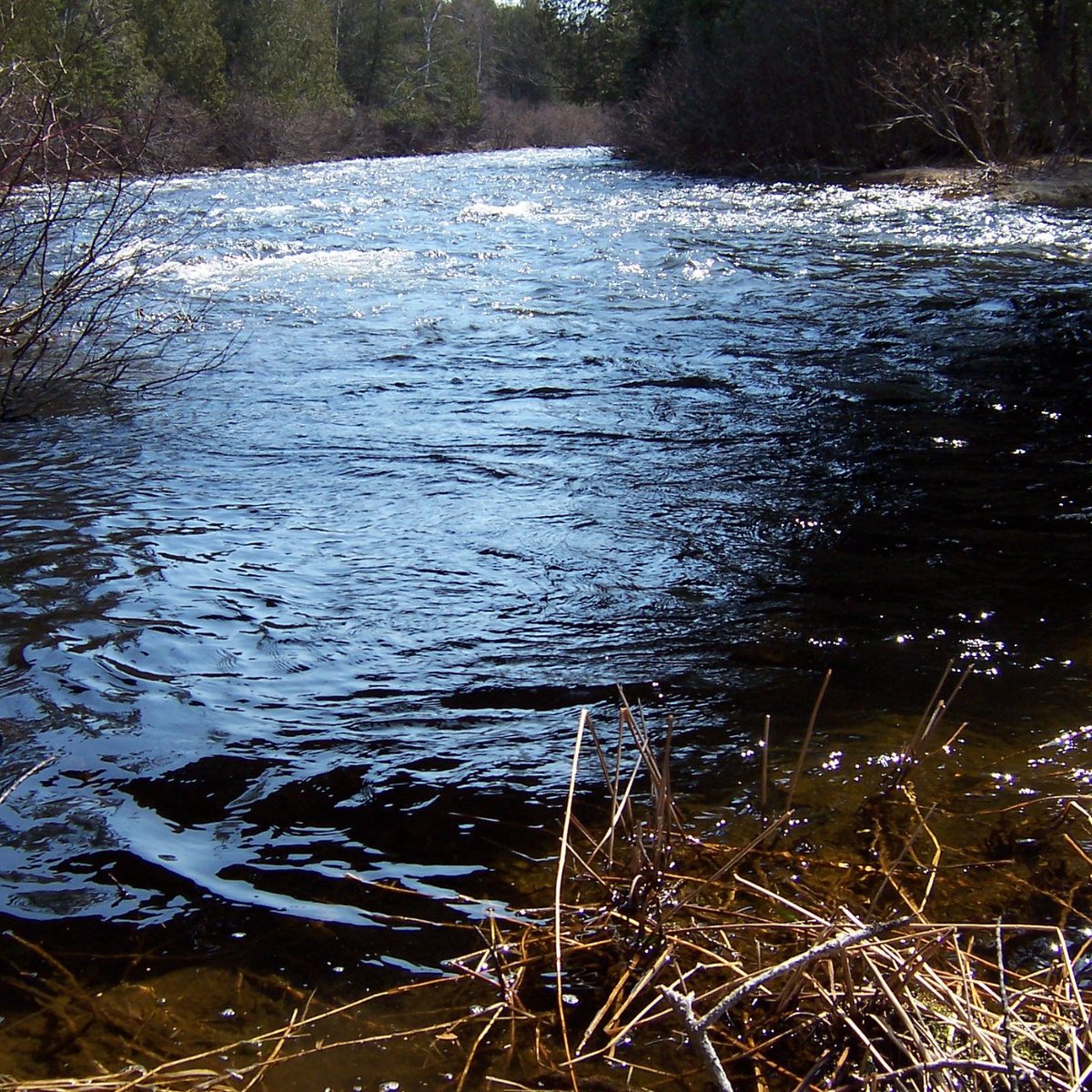 Rangeley River Trail (Oquossoc) - All You Need to Know BEFORE You Go