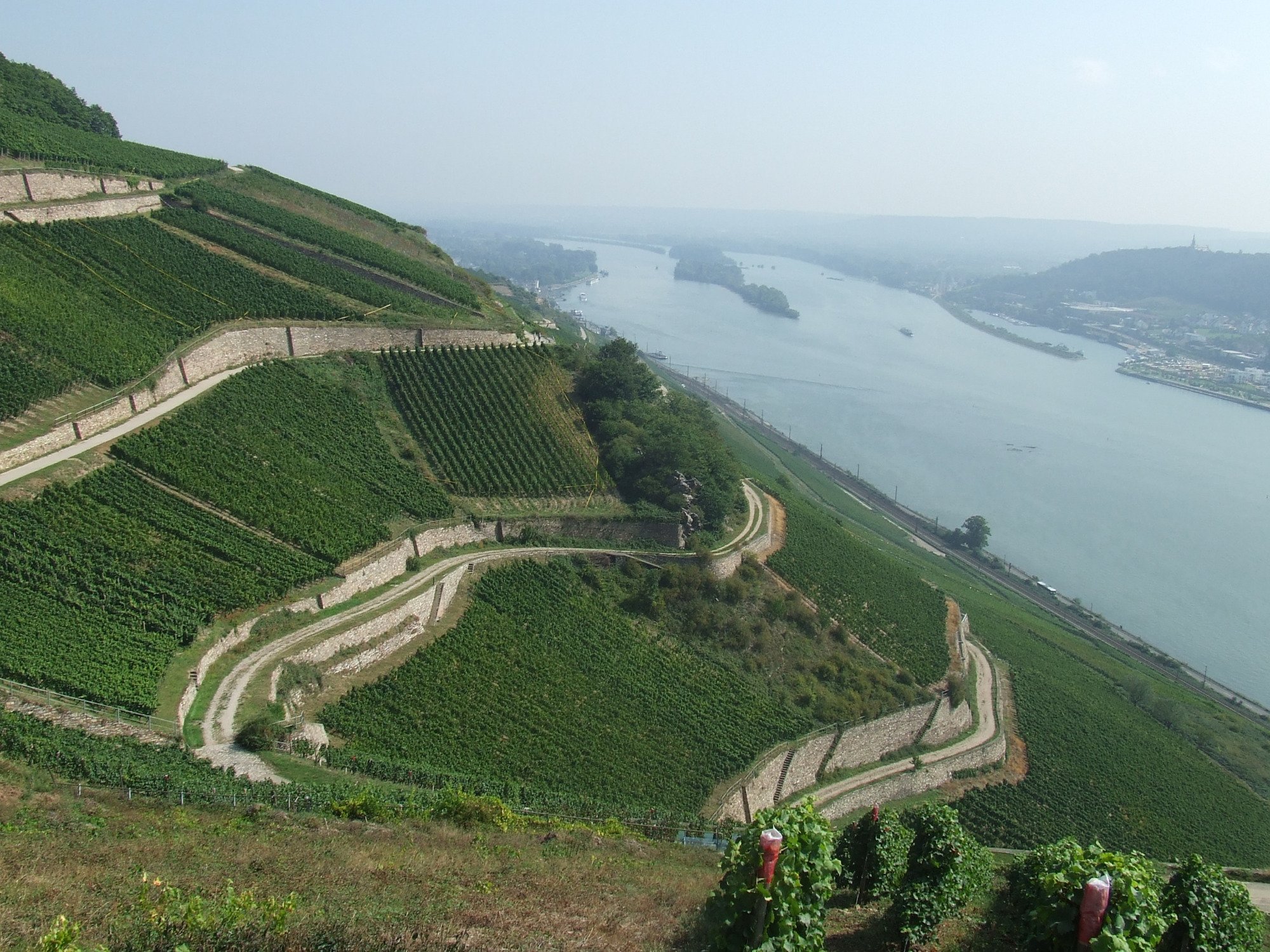 Rheingau Tours (Eltville Am Rhein) - 2023 Lohnt Es Sich? (Mit Fotos)