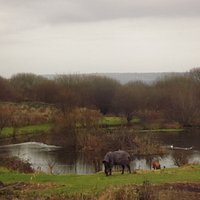 Taken November 2016, our lillies have finally been removed and our lake is now clear,