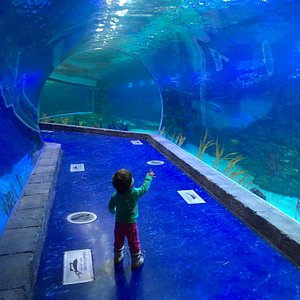 tour cn et aquarium