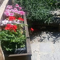 Il Chiosco dei Colli