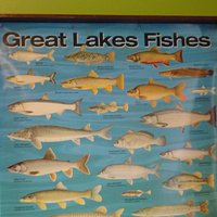 Freshwater Farms of Ohio (Urbana) - All You Need to Know BEFORE You Go