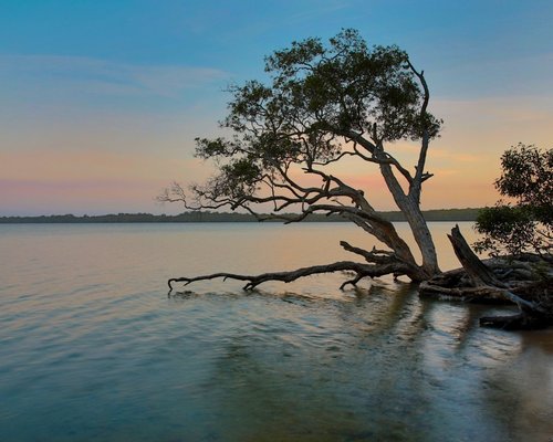 THE 15 BEST Things to Do in Noosaville - 2022 (with Photos) - Tripadvisor