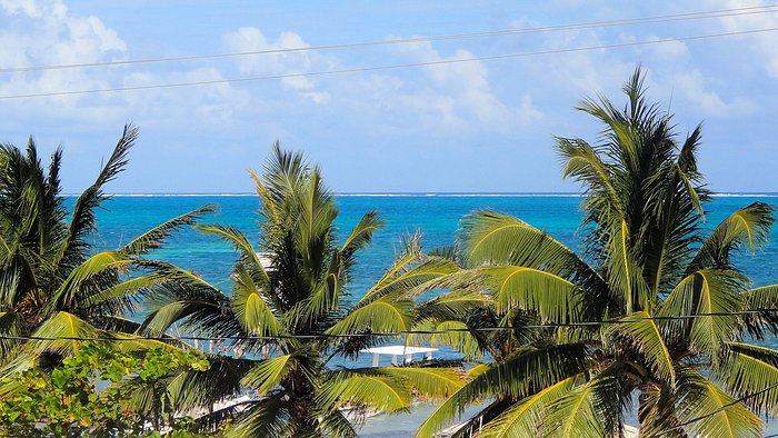 Barefoot Caribe Hotel Restaurant: Pictures & Reviews - Tripadvisor