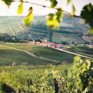 Resort e tenuta vigneti