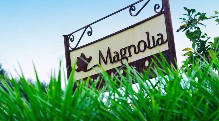 Magnolia Restaurant 