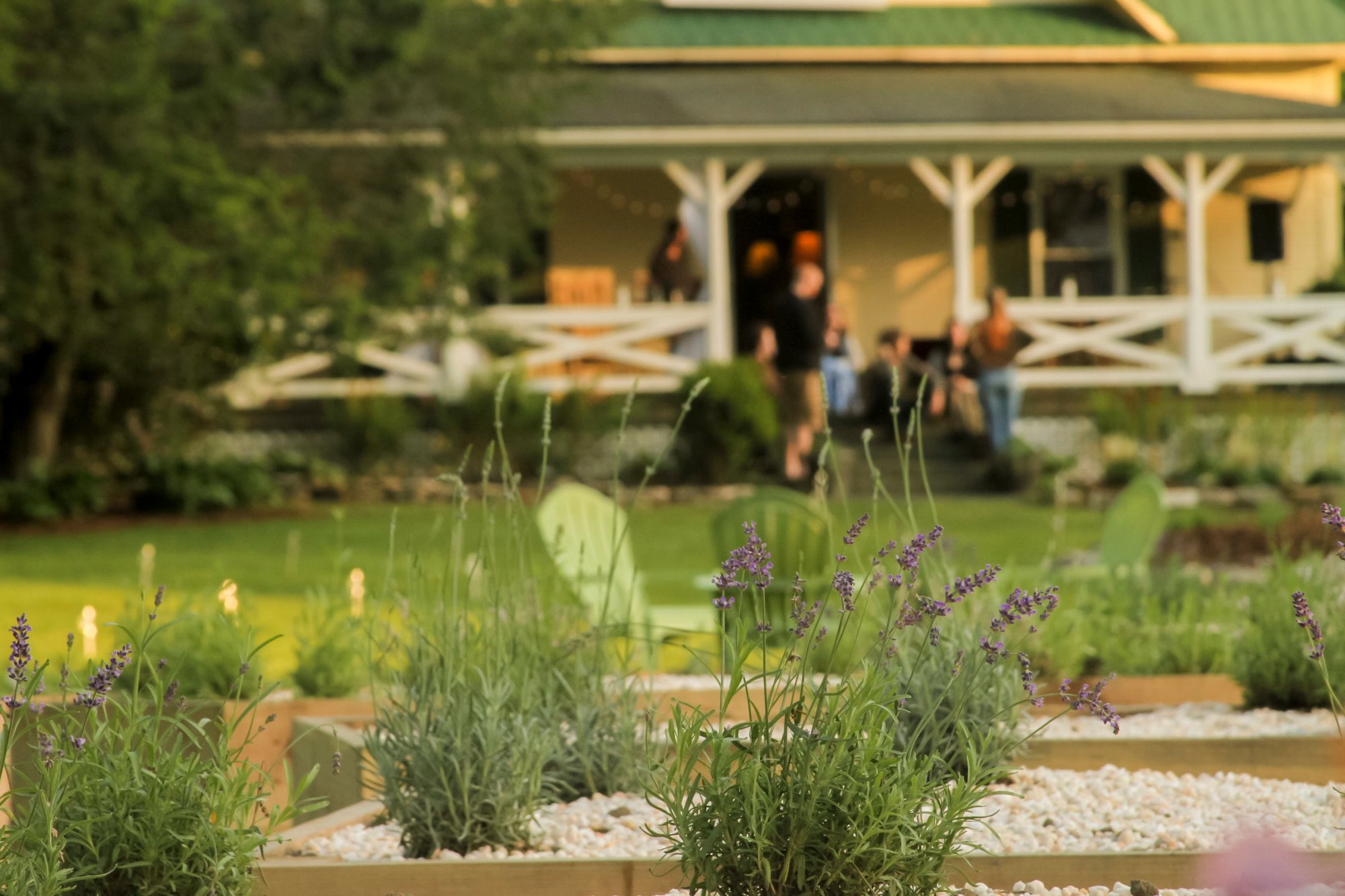 VALLE CRUCIS LAVENDER HOUSE (Banner Elk) - Lo Que Se Debe Saber Antes ...