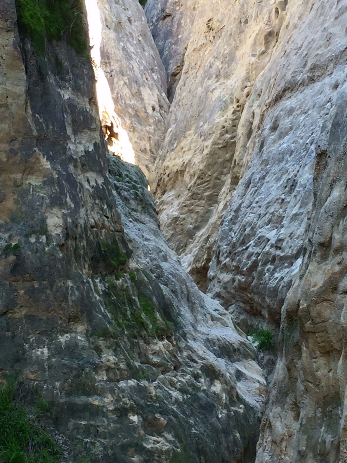 Annie's Canyon Trail