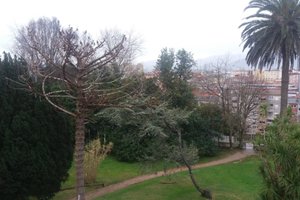 Viajero