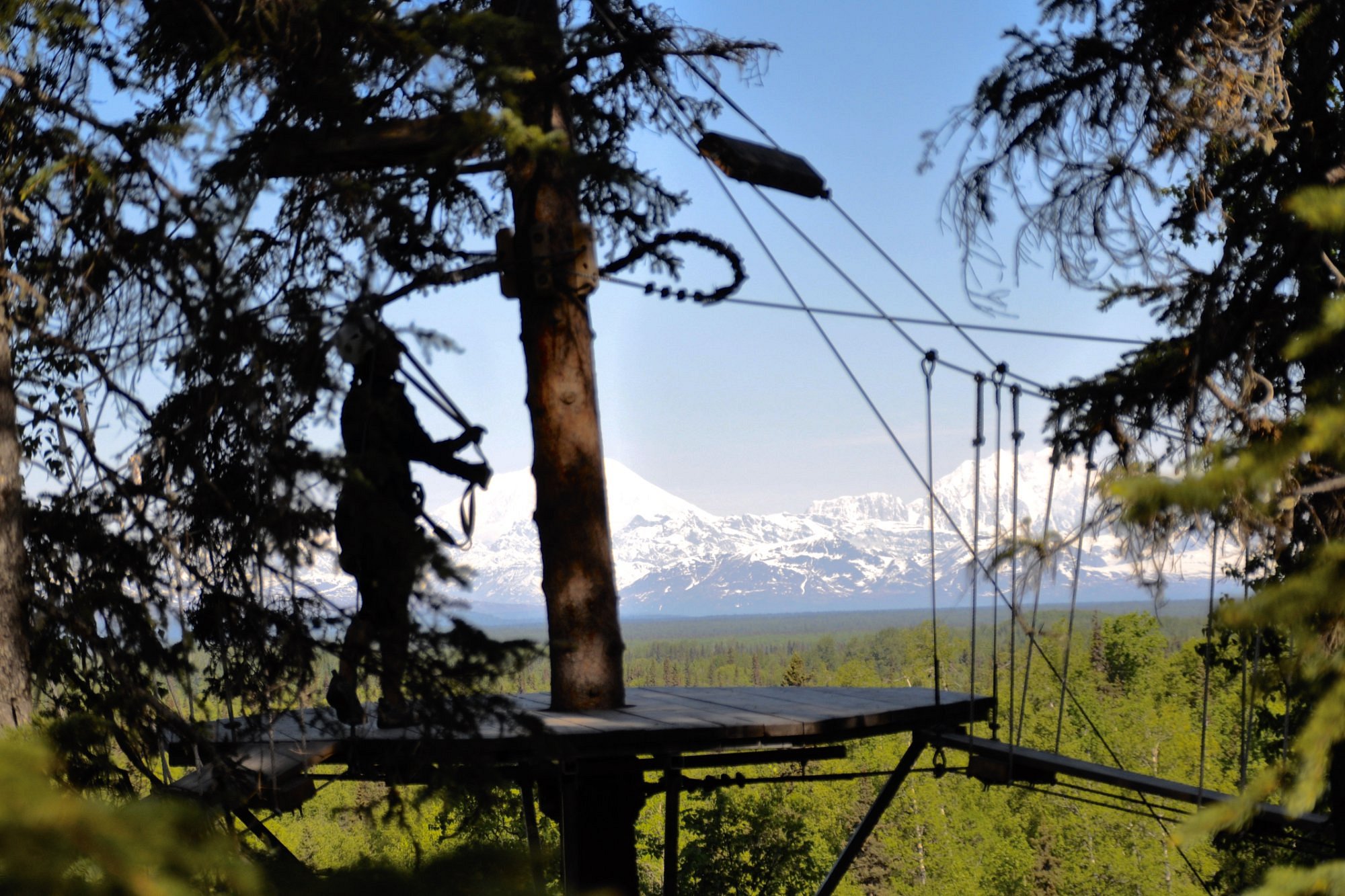 denali zipline tours prices