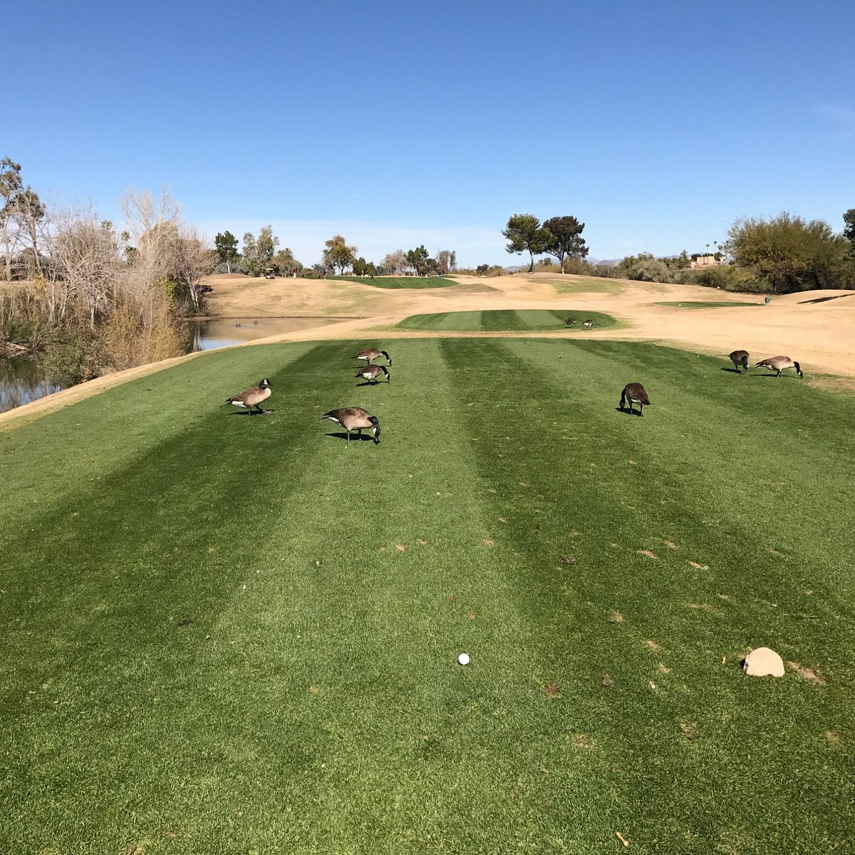 Albums 96+ Images cave creek golf course photos Updated