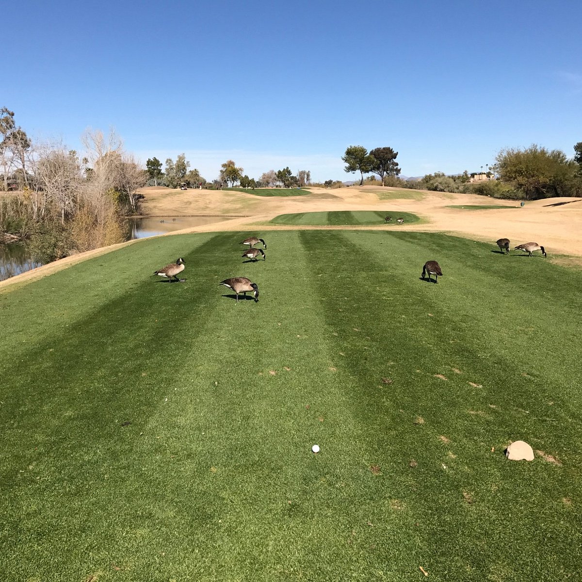 Cave Creek Golf Course (Phoenix) 2022 Alles wat u moet weten VOORDAT