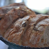 warm crusty bread