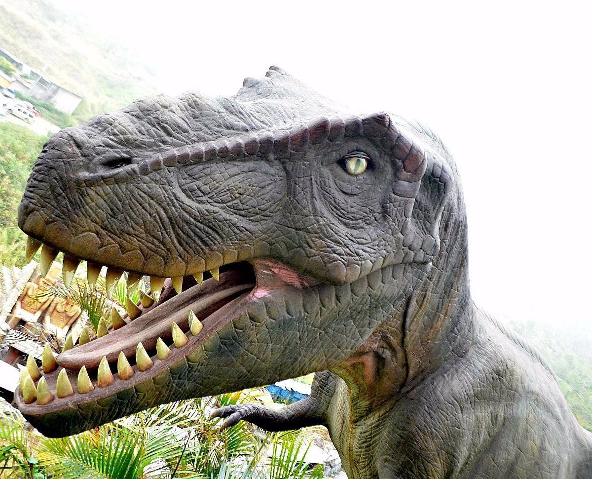 DINOSAURS ISLAND BAGUIO - All You Need to Know BEFORE You Go