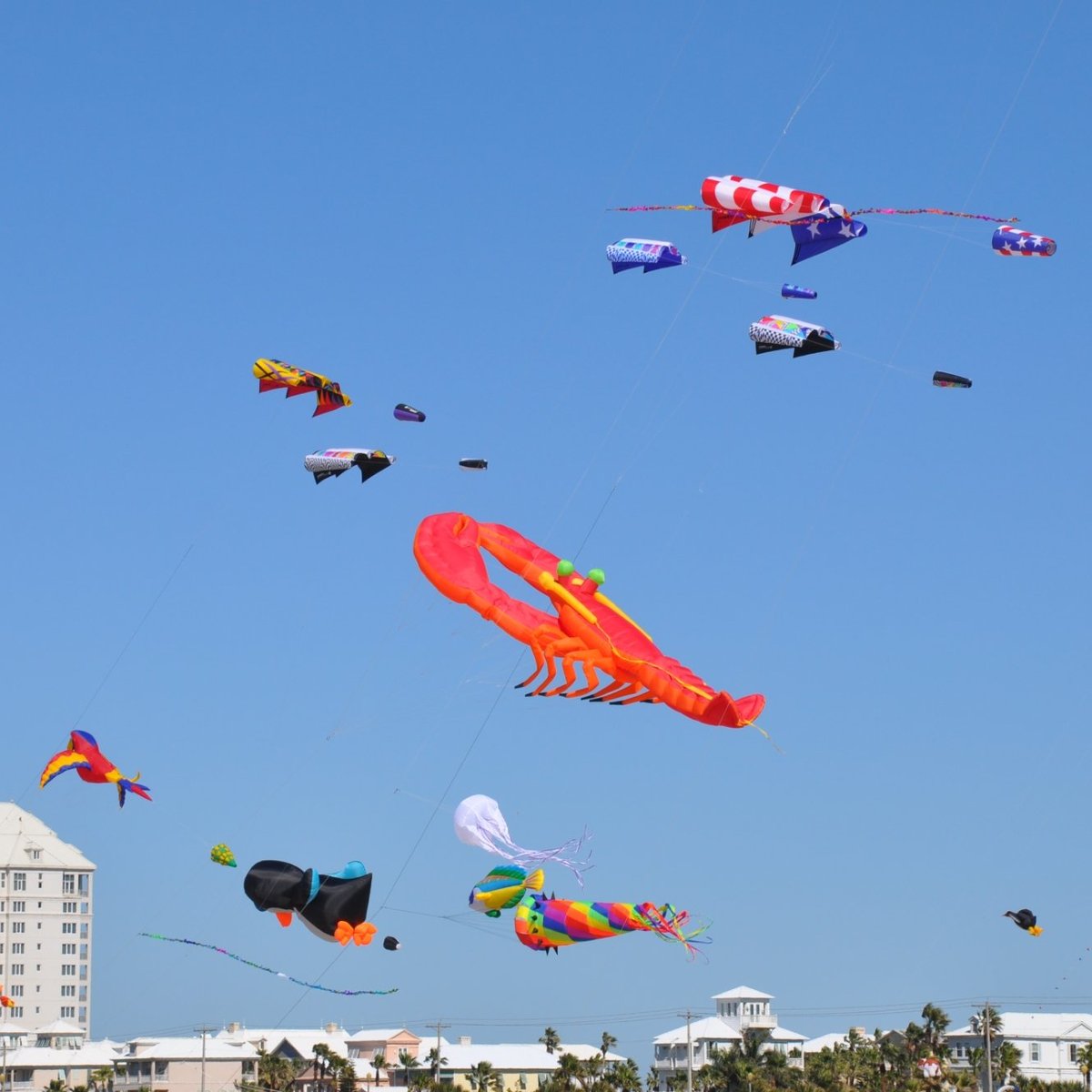 SPI Kite Fest (Isla del Padre Sur) 2022 Lo que se debe saber antes de