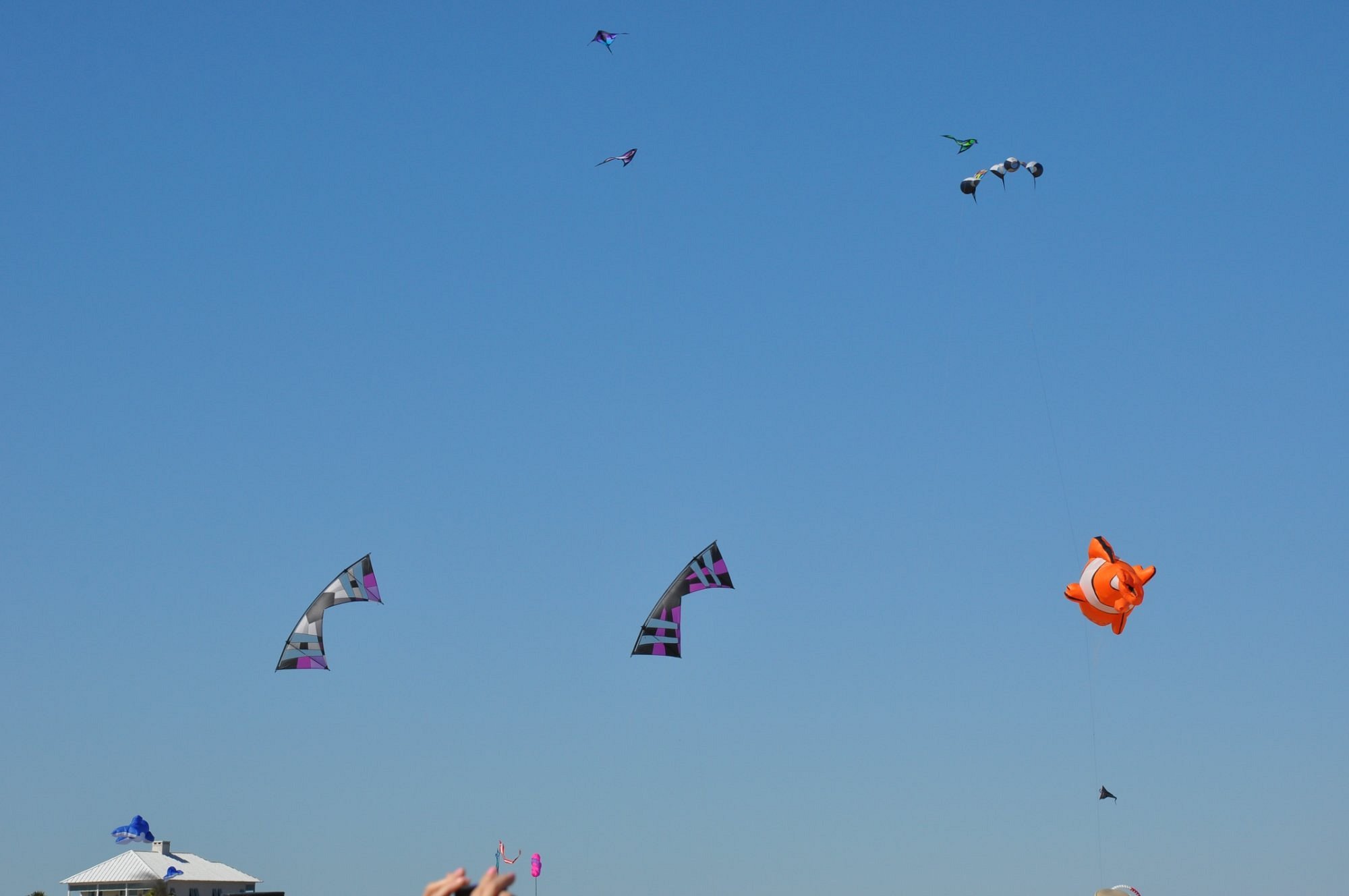 SPI KITE FEST (Île de South Padre) Ce qu'il faut savoir