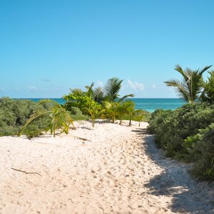 La playa