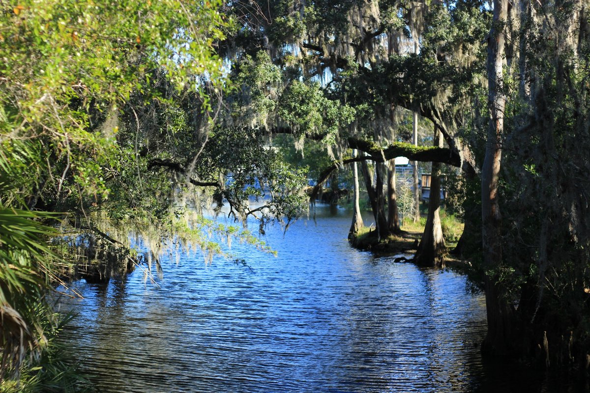 Shingle Creek Regional Park - Steffee Landing