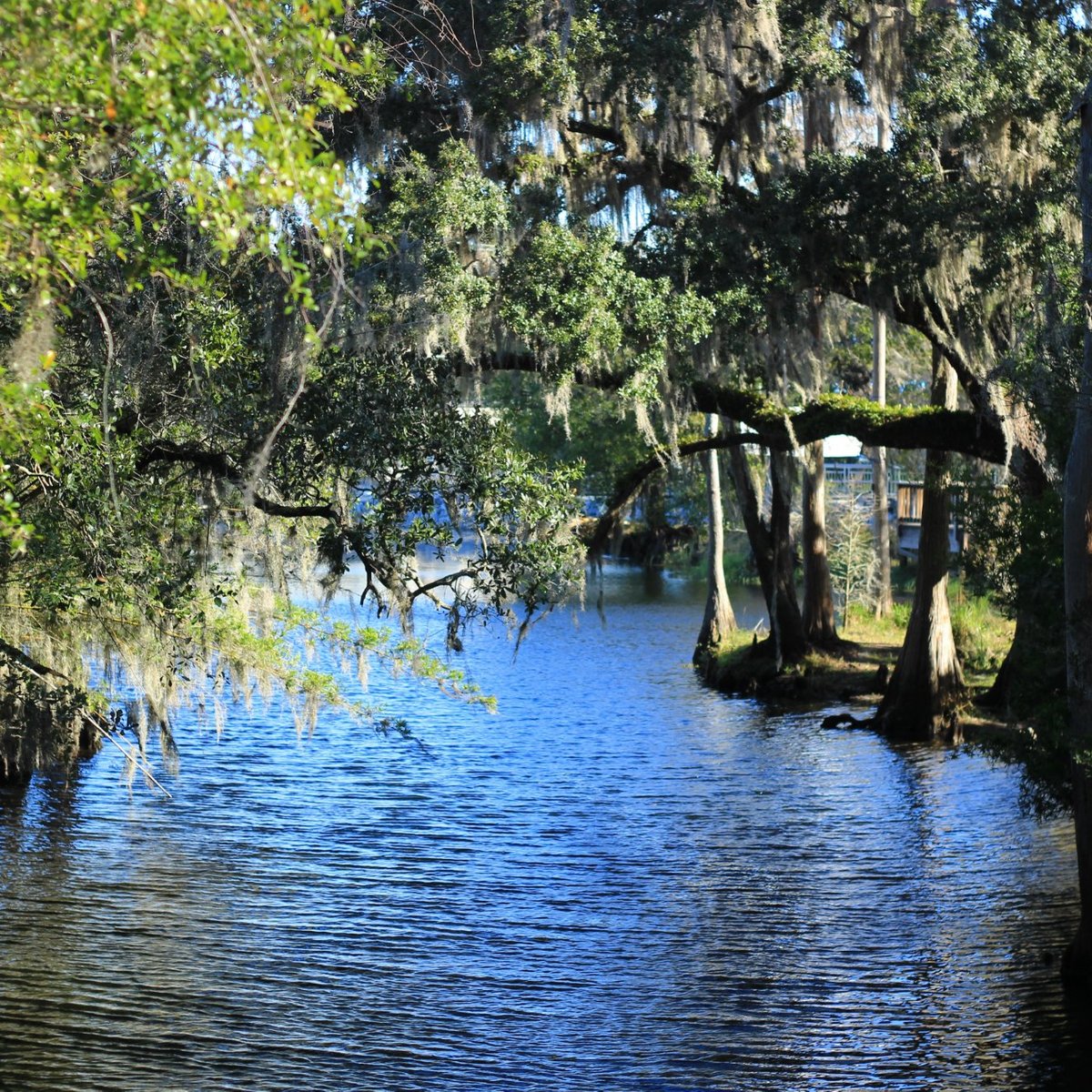 Shingle Creek Regional Park