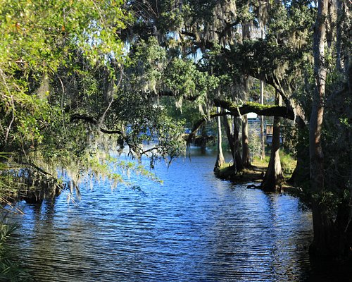 Filtros de agua de pozo, Kissimmee, St. Cloud y Orlando