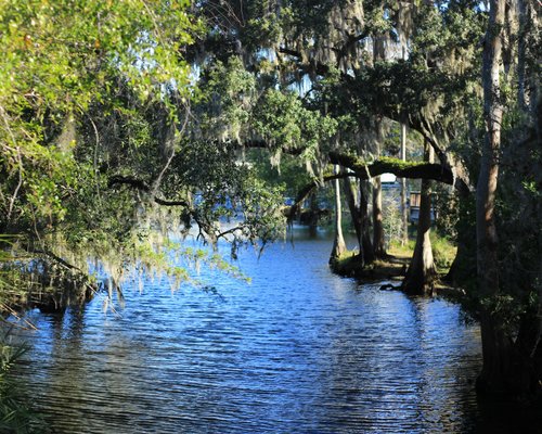 Kissimmee Flórida, Guia 2023 NATURAM