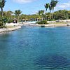 Things To Do in Cayman Luxury Excursions, Restaurants in Cayman Luxury Excursions
