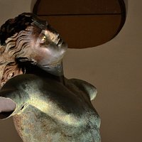 dettaglio della capigliatura