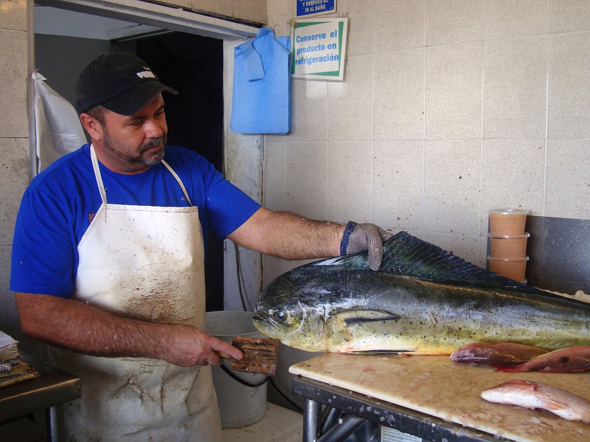 mazatlan food tours