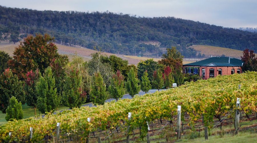 Locale restaurant in amongst the autumn colours