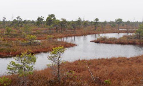 River crossing the swamps