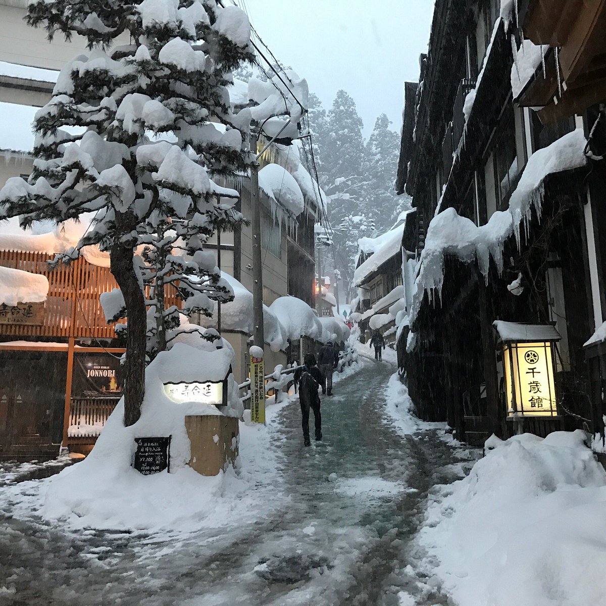 nozawa onsen tour