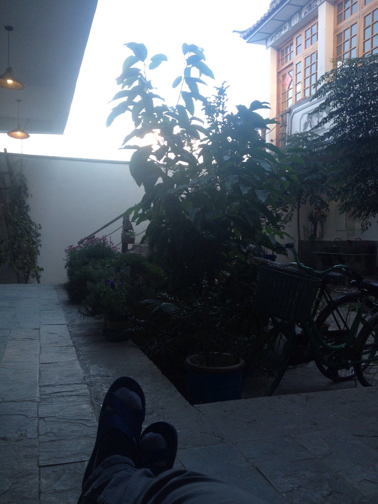 Hotel photo 15 of Dragonfly Guest House.