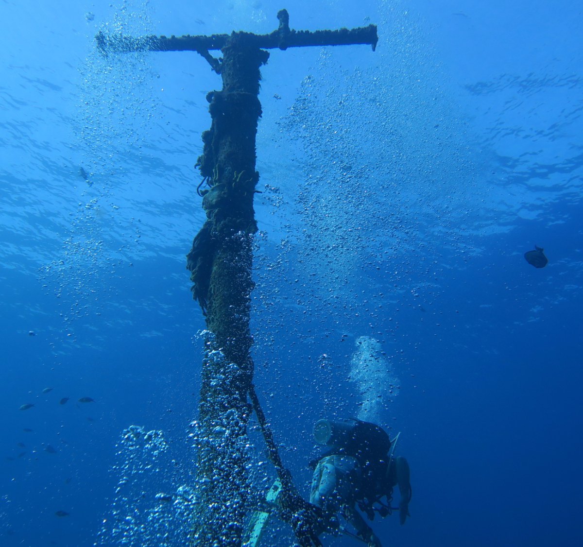 Felipe Xicotencatl Shipwreck (Cozumel) - All You Need to Know BEFORE You Go