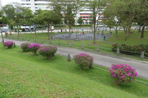Jurong review images