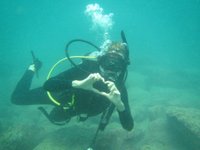 Galapagos Tip Top Dive & Training (Puerto Ayora) - All You Need to Know ...