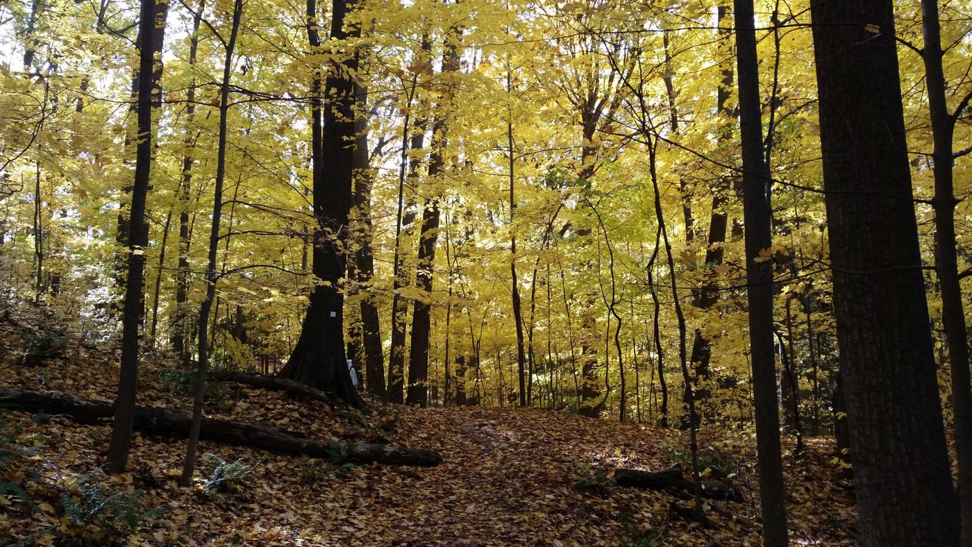 WEBSTER PARK CAMPGROUND - Reviews (NY)