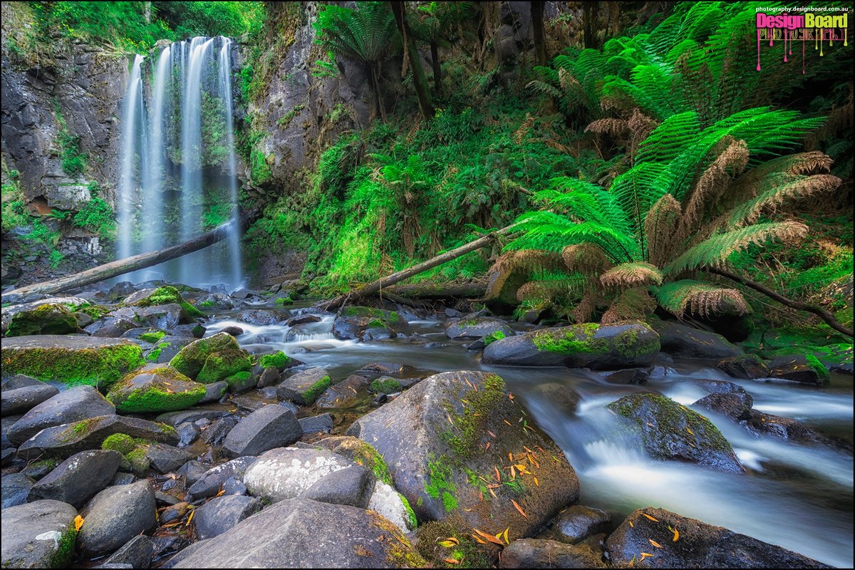 Hopetoun Falls (Beech Forest) - All You Need to Know BEFORE You Go