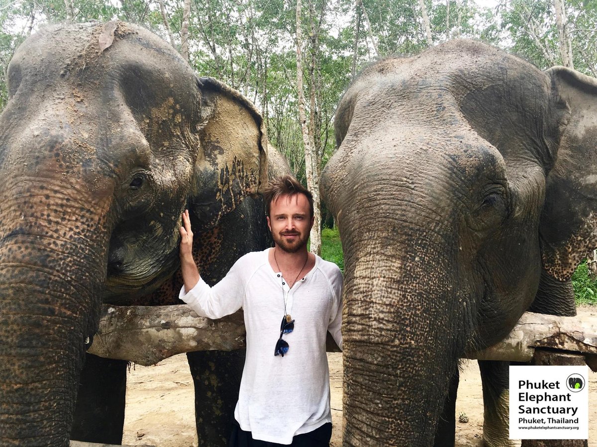 Phuket Elephant Sanctuary, Пхукет: лучшие советы перед посещением -  Tripadvisor