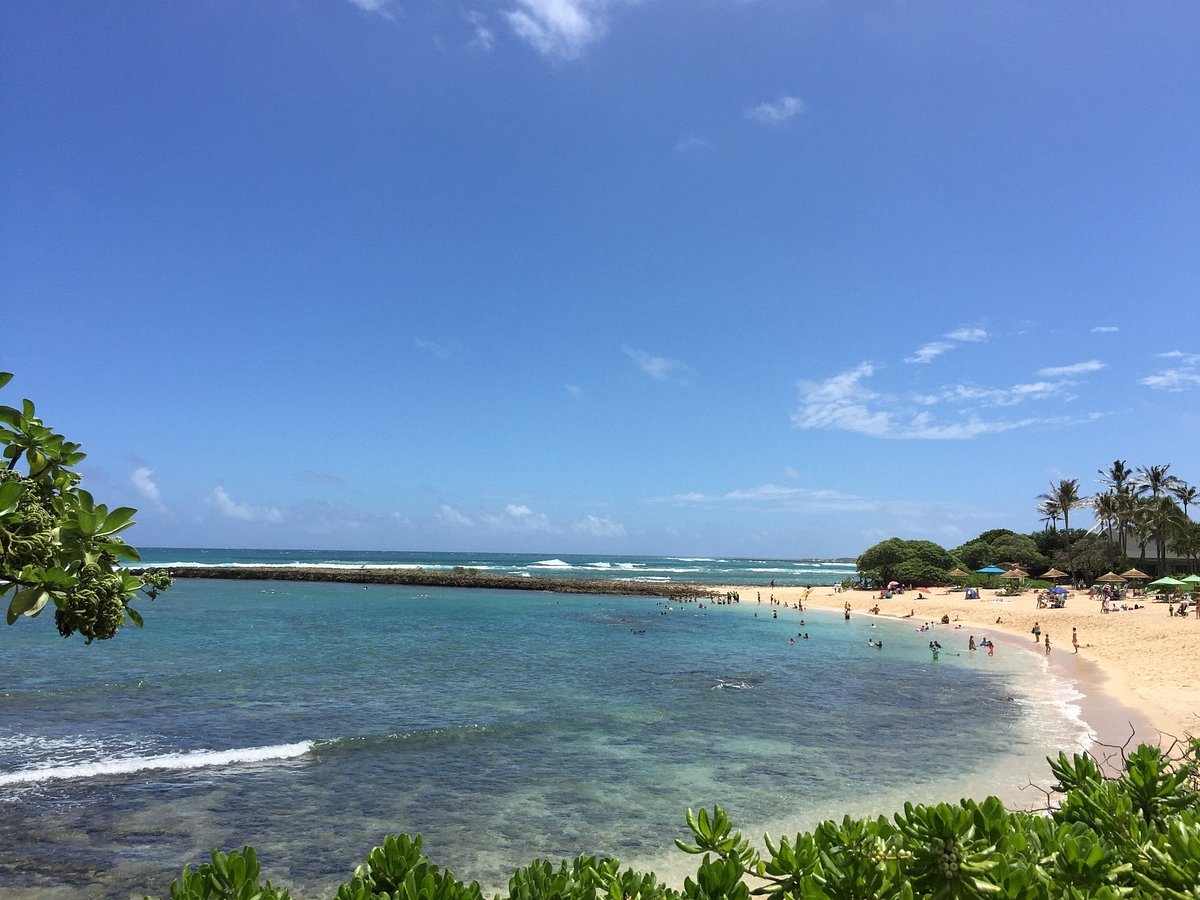 Turtle Bay Beach - All You Need to Know BEFORE You Go (with Photos)
