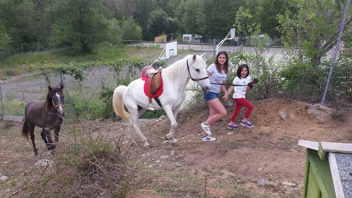 Imagen 3 de Camping Pont D'ardaix