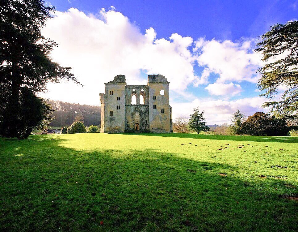 are dogs allowed at old wardour castle