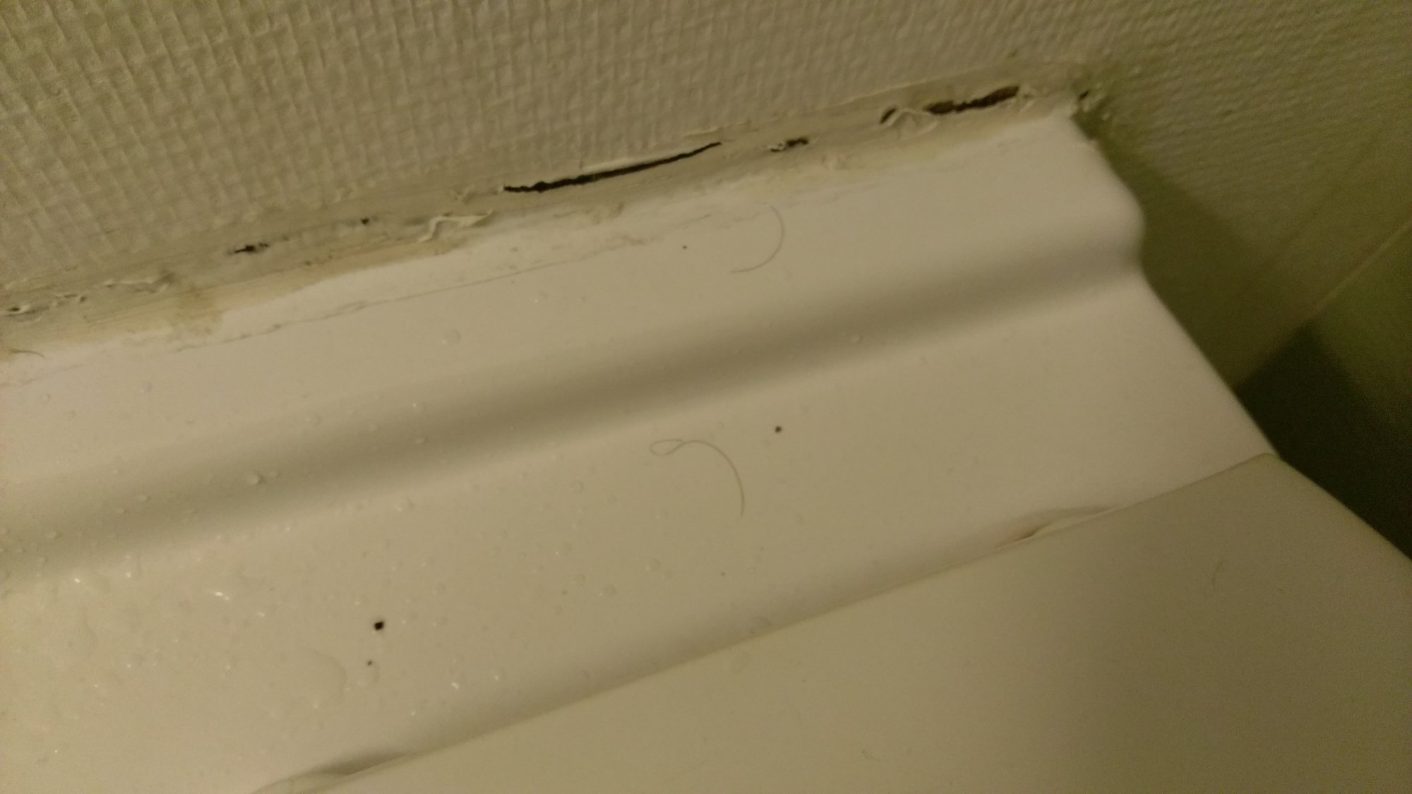 Hotel photo 20 of Ibis Budget Albertville.