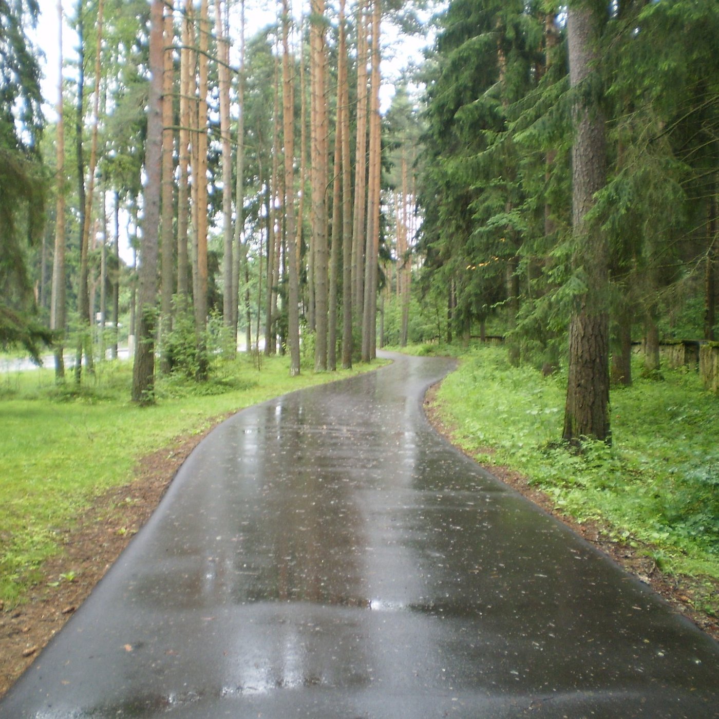 Репино 2024: все самое лучшее для туристов - Tripadvisor